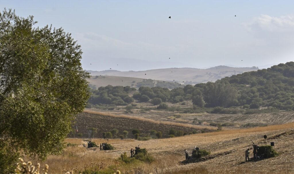 voluntariado ambiental en andalucía participando en proyectos ecológicos